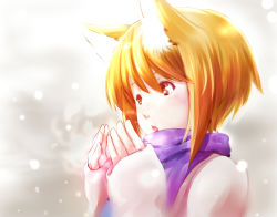 Rule 34 | 1girl, animal ears, blonde hair, blowing, dearmybrothers, female focus, fox ears, gradient background, hand to own mouth, no headwear, open mouth, scarf, short hair, snowing, solo, touhou, yakumo ran, yellow eyes
