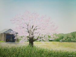 Rule 34 | artist name, blue sky, building, cherry blossoms, day, farm, forest, garage, grass, nature, no humans, original, painting (medium), plant, rural, shed, sky, tall grass, traditional media, tree, watercolor (medium), yamaji nao