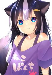 Rule 34 | 1girl, :t, animal ears, bare shoulders, black hair, blush, cat ears, cat girl, cat tail, chita (ketchup), closed mouth, clothes writing, collarbone, commentary request, fish hair ornament, hair ornament, highres, long hair, looking at viewer, multicolored hair, off-shoulder shirt, off shoulder, original, pout, purple shirt, shirt, short sleeves, signature, simple background, solo, streaked hair, tail, tail raised, translation request, v-shaped eyebrows, white background, white hair