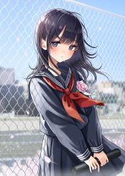 Rule 34 | 1girl, absurdres, black hair, black sailor collar, black serafuku, black shirt, black skirt, blue eyes, blue sky, blurry, blurry background, blush, chain-link fence, commentary request, day, depth of field, fence, flower, graduation, highres, holding, kentaurosu, long hair, looking at viewer, neckerchief, original, outdoors, parted lips, pink flower, pink rose, pleated skirt, red neckerchief, rose, sailor collar, school uniform, serafuku, shirt, skirt, sky, solo, tube