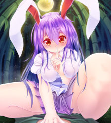 Rule 34 | 1girl, animal ears, bamboo, bamboo forest, blush, breasts, rabbit ears, finger to mouth, forest, full-face blush, full moon, large breasts, light particles, long hair, looking at viewer, miniskirt, moon, nature, night, night sky, on person, puffy sleeves, purple hair, red eyes, reisen udongein inaba, shirt, short sleeves, sitting, sitting on person, skirt, sky, solo focus, spread legs, thighs, touhou, z.o.b