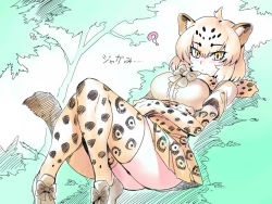 Rule 34 | 1girl, ?, animal ears, animal print, ass, black hair, blonde hair, blush, bow, bowtie, closed mouth, crossed arms, day, elbow gloves, expressionless, feet out of frame, fur scarf, gloves, hair between eyes, high-waist skirt, in tree, jaguar (kemono friends), jaguar ears, jaguar print, jaguar tail, kemono friends, knees together feet apart, knees up, leaning back, looking at viewer, medium hair, microskirt, multicolored hair, outdoors, print gloves, print skirt, print thighhighs, scarf, shirt, shoes, short sleeves, sitting, skirt, solo, tail, thighhighs, tree, tukiwani, two-tone hair, yellow eyes