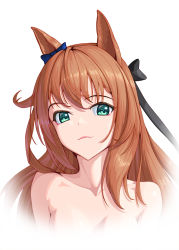 Rule 34 | 1girl, animal ears, black bow, blue bow, bow, bowlp, brown hair, commentary request, green eyes, hair bow, highres, horse ears, long hair, looking at viewer, maruzensky (umamusume), nude, simple background, smile, solo, umamusume, upper body, white background