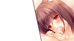 Rule 34 | animal ears, cat girl, chocola (nekopara), nekopara, sayori (neko works), uncensored