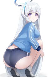 Rule 34 | 1girl, absurdres, ass, black buruma, blue archive, blue jacket, breasts, buruma, closed mouth, grey hair, halo, highres, jacket, large breasts, long hair, long sleeves, looking at viewer, mechanical halo, noa (blue archive), purple eyes, smile, solo, sorozukin, squatting