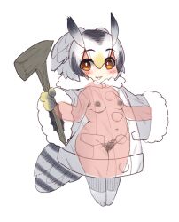 Rule 34 | 1girl, anchors (mono eye os), animal ears, bird ears, bird girl, bird tail, bird wings, breasts, highres, kemono friends, looking at viewer, medium breasts, nipples, northern white-faced owl (kemono friends), pussy, simple background, small breasts, solo, tail, wings
