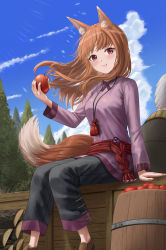 Rule 34 | 1girl, animal ear fluff, animal ears, apple, black pants, blue sky, brown hair, closed mouth, cloud, commentary, day, eating, food, fruit, highres, holding, holding food, holding fruit, holo, long hair, long sleeves, looking at viewer, outdoors, pants, purple shirt, red eyes, shirt, silvertsuki, sitting, sky, solo, spice and wolf, tail, wolf ears, wolf girl, wolf tail