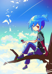 Rule 34 | 1boy, absurdres, blue eyes, blue hair, blush stickers, bug, day, expressionless, heterochromia, highres, insect, ladybug, looking at viewer, offbeat, outdoors, puyopuyo, red eyes, short hair, short sleeves, sig (puyopuyo), sitting, solo, tree