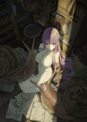 Rule 34 | 1girl, absurdres, alternate breast size, animal, arm support, black socks, book, bookshelf, bottle, breasts, brown coat, closed mouth, coat, coat partially removed, dress, expressionless, feet, fern (sousou no frieren), from above, highres, indoors, k hottok, large breasts, light blush, long dress, long hair, long sleeves, looking at viewer, looking up, no shoes, on floor, open book, open clothes, open coat, oversized animal, paper, purple eyes, purple hair, seiza, shade, sitting, sleeves past wrists, snail, socks, soles, solo, sousou no frieren, stool, sunlight, sweat, toes, very long hair, white dress, wooden floor