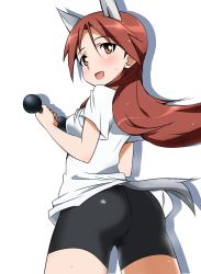 Rule 34 | 1girl, :d, animal ears, ass, bike shorts, blush, dumbbell, from behind, highres, long hair, looking back, minna-dietlinde wilcke, open mouth, orange eyes, red hair, smile, solo, strike witches, sweat, tail, world witches series, yumekaranigeruna
