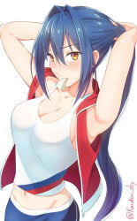 Rule 34 | 1girl, aome no madoushi, armpits, arms up, blue hair, blush, breasts, cleavage, closed mouth, hair between eyes, kanden sky, large breasts, long hair, looking at viewer, mouth hold, navel, ponytail, sidelocks, simple background, sleeveless, solo, sweater, tank top, twitter username, tying hair, white background, yellow eyes