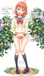 Rule 34 | 1girl, absurdres, ahoge, black socks, bottomless, bow, braid, breasts, brown footwear, collarbone, commentary request, covering privates, covering crotch, food, fruit, gluteal fold, grass, hair bow, highres, knees, leaf, looking at viewer, love live!, love live! sunshine!!, mandarin orange, medium hair, no panties, open mouth, pigeon-toed, raised eyebrows, shoes, socks, solo, suzuki24, sweat, takami chika, teeth, tongue, translation request, upper teeth only