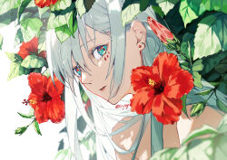 Rule 34 | 1girl, earrings, flower, green eyes, hibiscus, highres, jewelry, looking at viewer, multiple earrings, nature, nude, original, parted lips, plant, portrait, signature, solo, white hair, yagi (shiro yagi)