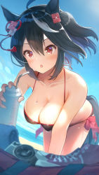 Rule 34 | 1girl, animal ears, beach, bikini, black hair, blue sky, breasts, camera, cleavage, cloud, collarbone, commentary request, cup, day, drinking straw, highres, holding, holding cup, horse ears, horse girl, horse tail, kitasan black (umamusume), large breasts, multicolored hair, ocean, ooshima kojima, outdoors, red eyes, sky, solo, streaked hair, sweat, sweatdrop, swimsuit, tail, tongue, tongue out, umamusume, white hair