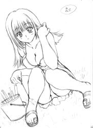 Rule 34 | 1girl, blush, breasts, bucket, cleavage, collarbone, dress, grass, greyscale, large breasts, long hair, looking at viewer, marui, monochrome, open mouth, panties, sandals, sleeveless, sleeveless dress, solo, squatting, underwear