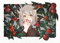 Rule 34 | 1girl, bob cut, border, eating, food, fruit, grey hair, hair between eyes, holding, holding food, holding fruit, horns, kamura gimi, leaf, looking at viewer, medium hair, oni, original, outside border, plant, pointy ears, pomegranate, smile, solo, sweater, tree, upper body, white border, yellow eyes