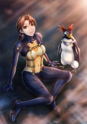 Rule 34 | 00s, 1girl, animal, arm support, artist request, bad id, bad pixiv id, bird, breasts, brown eyes, brown hair, covered navel, evangelion: 2.0 you can (not) advance, freckles, groin, horaki hikari, light smile, long hair, medium breasts, neon genesis evangelion, panko (chan8191), penguin, penpen, plugsuit, rebuild of evangelion, see-through, smile, solo, test plugsuit, thighs, twintails