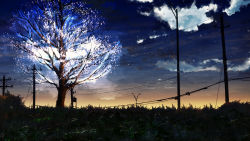 Rule 34 | blue sky, cable, cherry blossoms, cloud, cloudy sky, commentary request, glowing, grass, highres, night, night sky, no humans, original, outdoors, scenery, sky, sunrise, tree, utility pole, y y (ysk ygc)