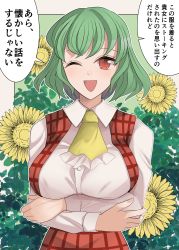 Rule 34 | 1girl, absurdres, ascot, blush, collared shirt, crossed arms, flower, green hair, highres, kazami yuuka, looking at viewer, open mouth, plaid, plaid vest, red eyes, sei (kaien kien), shirt, short hair, smile, solo, sunflower, touhou, translation request, vest, yellow ascot