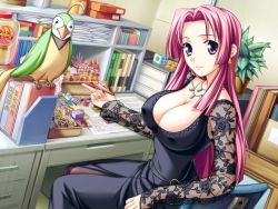 Rule 34 | 1girl, bird, breasts, candy, cleavage, desk, dress, earrings, covered erect nipples, game cg, jewelry, large breasts, long hair, necklace, ooeyama inori, pantyhose, parrot, pen, pink hair, purple eyes, shironeko sanbou, smile, solo, tsuyokiss