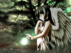 Rule 34 | angel wings, closed eyes, collar, dark, forest, nature, solo, tomomimi shimon, watermark, wings