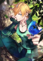Rule 34 | 1boy, animal, animal on head, armored, bird, bird on head, blonde hair, blue eyes, boots, brown footwear, collarbone, day, fate/extra, fate (series), fingerless gloves, gloves, green pants, hair over one eye, in tree, jewelry, leaf, male focus, necklace, noes, on head, outdoors, pants, red gloves, robin hood (fate), sitting, sitting in tree, smile, solo, striped clothes, striped gloves, sunlight, tree, vertical-striped clothes, vertical-striped gloves