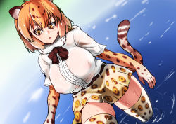 Rule 34 | 10s, 1girl, animal ears, animal print, breasts, cat ears, cat tail, covered erect nipples, isna (footprintsofisna), jaguar (kemono friends), jaguar ears, kemono friends, large breasts, leopard (kemono friends), leopard print, looking at viewer, low twintails, multicolored hair, nipples, no bra, open mouth, panther ears, panther tail, see-through, shirt, short hair, skirt, tail, thighhighs, twintails, wet, wet clothes, wet shirt, white shirt, yellow eyes