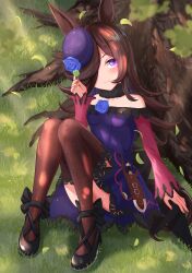 Rule 34 | 1girl, animal ears, back bow, black footwear, black thighhighs, blue flower, blue hat, blue rose, blurry, blurry foreground, bow, brown hair, closed mouth, clover, commentary, dagger, dappled sunlight, dress, flower, from above, fur collar, grass, hair over one eye, hat, hat flower, highres, holding, horse ears, horse girl, horse tail, knife, leaf, long hair, long sleeves, looking at viewer, lying, off-shoulder dress, off shoulder, on back, on ground, philo 324, purple dress, purple eyes, purple hat, rice shower (umamusume), rose, scabbard, sheath, sheathed, shoes, short dress, smile, solo, sunlight, tail, thighhighs, tilted headwear, tree, umamusume, weapon