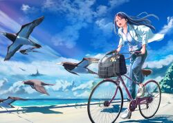 1girl aged_up bicycle bird black_bag blue_eyes blue_hair blue_pants booby_(bird) cloud dress_shirt grass hospital_gown jacket long_hair minazuki_karen ocean open_clothes open_jacket open_mouth pants precure riding riding_bicycle road shirt shoes sky sneakers solo thana tree white_footwear white_jacket white_shirt yes!_precure_5 yes!_precure_5_gogo!