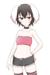 Rule 34 | 1girl, alternate costume, animal ears, bandeau, black hair, choker, collarbone, frown, highres, inaba tewi, kuroba rapid, looking at viewer, midriff, multicolored clothes, multicolored legwear, navel, rabbit ears, red eyes, serious, short hair, shorts, simple background, solo, strapless, striped clothes, striped thighhighs, thighhighs, touhou, tube top, unbuttoned, white background