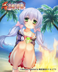 Rule 34 | (#)w(#), 1girl, anklet, ass, beach, bikini, bikini skirt, blue hair, blue jacket, blush, can, cloud, drink can, fire, green eyes, highres, houtou, jacket, jewelry, koihime musou, legs, long hair, low twintails, ocean, off shoulder, official art, outdoors, palm tree, red bikini, red skirt, ribbon, skirt, sky, soda can, solo, squatting, swimsuit, thighs, tree, twintails