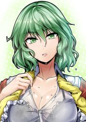 Rule 34 | 1girl, alternate eye color, black bra, bra, bra visible through clothes, breasts, cleavage, collarbone, dress shirt, green eyes, green hair, hair between eyes, head tilt, kazami yuuka, lace, lace-trimmed bra, lace trim, large breasts, lips, looking at viewer, matching hair/eyes, open clothes, open vest, parted lips, plaid, plaid vest, see-through, shirt, short hair, solo, touhou, underwear, vest, wet, wet clothes, wet hair, wet shirt, white shirt, y2