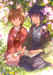 Rule 34 | 2girls, animal ears, bad id, bad pixiv id, book, book on lap, braid, brown hair, cat ears, floral print, flower, hachi kou, hakama, hakama skirt, hands on lap, itou hachi, japanese clothes, kimono, long hair, looking at another, multiple girls, obi, on ground, open book, open mouth, original, outdoors, petals, purple eyes, purple hair, red eyes, sash, seiza, single braid, sitting, skirt, smile