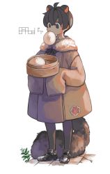 Rule 34 | 1boy, absurdres, animal ears, artist name, baozi, black eyes, black footwear, black hair, black legwear, black ribbon, brown coat, child, coat, commentary, crossed bangs, fatalbug896, food, food in mouth, full body, fur-trimmed coat, fur trim, highres, holding, long sleeves, looking at food, male focus, mouth hold, neck ribbon, original, ribbon, short hair, simple background, sleeves past fingers, sleeves past wrists, solo, standing, tail, white background