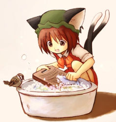 Rule 34 | 1girl, animal ears, bad id, bad pixiv id, bird, brown eyes, brown hair, chen, eijima moko, female focus, hat, laundry, multiple tails, solo, sparrow, tail, touhou, washpan