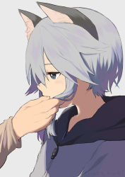 Rule 34 | 1boy, animal ears, bad id, bad pixiv id, blue eyes, blue hair, blush, cat boy, cat ears, great kichi, hand in another&#039;s hair, ledo vassar, light blue hair, male focus, out of frame, pop-up story, simple background, solo focus
