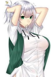 Rule 34 | 1girl, adjusting hair, aged up, arms up, breasts, collared shirt, commentary request, dress shirt, green eyes, green vest, hair ornament, hair tie, hands in hair, highres, konpaku youmu, large breasts, looking at viewer, mouth hold, neck ribbon, onineko-chan, open clothes, open vest, ponytail, ribbon, shirt, short sleeves, silver hair, simple background, solo, touhou, tying hair, upper body, vest, white background, white shirt, wing collar