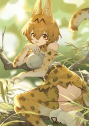 Rule 34 | 1girl, animal ears, ass, belt, black belt, blonde hair, boots, bow, bowtie, branch, day, elbow gloves, foot out of frame, gloves, hair between eyes, highres, kemono friends, leaf, medium hair, outdoors, plant, print bow, print bowtie, print gloves, print skirt, print thighhighs, serval (kemono friends), serval print, shirt, siguma (13238772100), skirt, sleeveless, sleeveless shirt, solo, tail, thighhighs, tongue, tongue out, tree, white footwear, white shirt