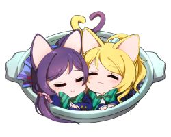 Rule 34 | 10s, 2girls, :3, animal ears, ayase eli, blazer, blonde hair, blush, bow, bowtie, cat ears, cat tail, chibi, closed eyes, hair ornament, hair scrunchie, heads together, heart tail duo, in container, jacket, kemonomimi mode, long hair, long sleeves, love live!, love live! school idol project, multiple girls, neko nabe, ng (kimjae737), plaid, plaid skirt, ponytail, purple hair, school uniform, scrunchie, simple background, skirt, sleeping, smile, striped bow, striped bowtie, striped clothes, striped neckwear, swept bangs, tail, tojo nozomi, twintails, white background