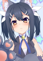 Rule 34 | 1girl, animal ear fluff, animal ears, animal hands, bare shoulders, bell, black hair, blue background, blue ribbon, blush, breasts, brown eyes, cat ears, closed mouth, detached collar, diesirea, fate/kaleid liner prisma illya, fate (series), feather hair ornament, feathers, gloves, grey vest, hair ornament, hairclip, highres, jingle bell, long hair, looking at viewer, miyu edelfelt, paw gloves, ribbon, small breasts, star (symbol), starry background, twintails, vest