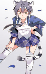 Rule 34 | 10s, 1girl, ahoge, animal ears, blush, breasts, checkered clothes, checkered skirt, commentary, dress shirt, em (totsuzen no hakike), garter straps, grey hair, hand on own hip, jacket, kemono friends, looking at viewer, maltese tiger (kemono friends), multicolored hair, necktie, shirt, sidelocks, simple background, skirt, sleeves rolled up, smile, solo, tail, thighhighs, tiger ears, tiger stripes, tiger tail, two-tone hair, white hair, yellow eyes