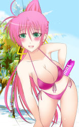 Rule 34 | 1girl, beach, bikini, blush, braid, breasts, chelsea masa, cleavage, day, front-tie top, green eyes, high ponytail, holding, large breasts, long hair, lyrical nanoha, mahou shoujo lyrical nanoha, mahou shoujo lyrical nanoha a&#039;s, open mouth, pink hair, side-tie bikini bottom, signum, solo, swimsuit, very long hair