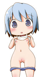 Rule 34 | 10s, 1girl, blue eyes, blue hair, blush, breasts, chibi, cleft of venus, clothes lift, full cleft, gerotan, mahou shoujo madoka magica, matching hair/eyes, miki sayaka, navel, nipples, nude, open mouth, pussy, shirt lift, short hair, simple background, small breasts, solo, uncensored, undressing, white background