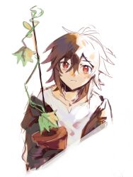 Rule 34 | 1boy, black jacket, brown hair, chinese commentary, closed mouth, commentary request, hair between eyes, highres, isoi haruki, jacket, korikiclubs, light frown, looking at viewer, male focus, open clothes, open jacket, plant, potted plant, red eyes, saibou shinkyoku, shirt, short hair, simple background, sketch, solo, white background, white shirt