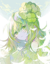 Rule 34 | 1girl, ahoge, bare shoulders, blue sky, clothing cutout, dress, flower, from side, frown, green dress, green eyes, green flower, green hair, green theme, hair flower, hair ornament, highres, irodori warabi, long sleeves, looking at viewer, original, portrait, shoulder cutout, sky, solo