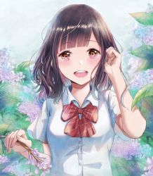 Rule 34 | 1girl, black hair, blush, bow, branch, breasts, brown eyes, collared shirt, commentary request, day, diagonal-striped bow, dress shirt, flower, hand in own hair, hand up, kinom (sculpturesky), long hair, nail polish, original, outdoors, pink nails, purple flower, red bow, school uniform, shirt, short sleeves, small breasts, solo, striped, striped bow, upper body, white shirt