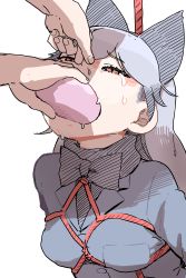 Rule 34 | 1girl, absurdres, animal ears, bdsm, black neckwear, bondage, bound, bow, bowtie, drooling, feeding, force-feeding, half-closed eyes, hare (tetterutei), highres, kemono friends, long hair, nose pinch, red rope, rope, shibari, silver fox (kemono friends), silver hair, simple background, snot, sweat, tears, upper body, white background