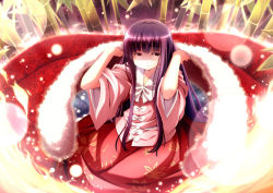 Rule 34 | 1girl, arms up, bamboo, cape, female focus, fire, floral print, hime cut, holding up, houraisan kaguya, lights, long hair, purple hair, red eyes, shirt, skirt, solo, sui. (ayase), touhou