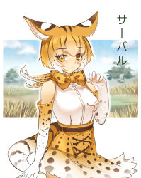 Rule 34 | 10s, 1girl, animal ears, bare shoulders, blonde hair, bow, bowtie, character name, claw pose, commentary, cowboy shot, elbow gloves, expressionless, extra serval (kemono friends), gloves, grass, high-waist skirt, kemono friends, looking at viewer, outline, print bow, print bowtie, print gloves, print neckwear, print skirt, qtsuki, savannah, serval print, serval tail, shirt, short hair, skirt, sleeveless, sleeveless shirt, solo, striped tail, tail, tree, white outline, white shirt, yellow eyes