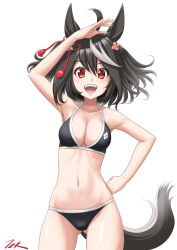 Rule 34 | 1girl, ahoge, animal ears, arm up, bare shoulders, bikini, black bikini, black hair, breasts, cleavage, commentary request, gluteal fold, hair between eyes, hair ornament, hand on own hip, highres, horse ears, horse girl, horse tail, kitasan black (umamusume), medium breasts, multicolored hair, open mouth, red eyes, ribs, short hair, signature, smile, solo, streaked hair, swimsuit, t2r, tail, tassel, tassel hair ornament, teeth, umamusume, upper teeth only, white background, white hair